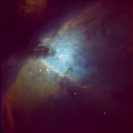 M42